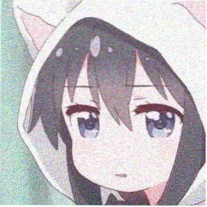 笔书阁读者夜航的头像
